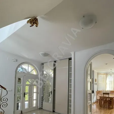 Vila Belgravia Pula
