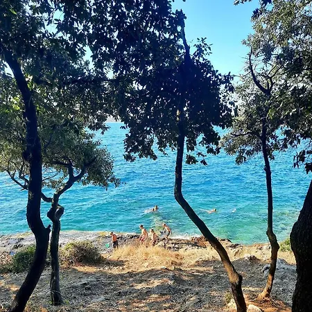 Belgravia Βίλα *