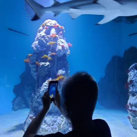 Belgravia Βίλα *