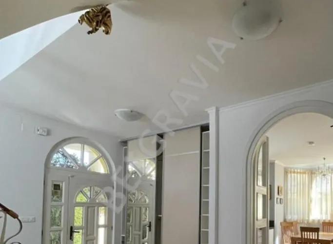 Villa Belgravia Póla